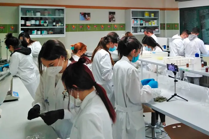 Curso de técnico en farmacia y parafarmacia