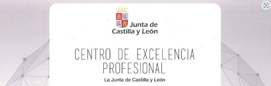 Centro de Excelencia profesional